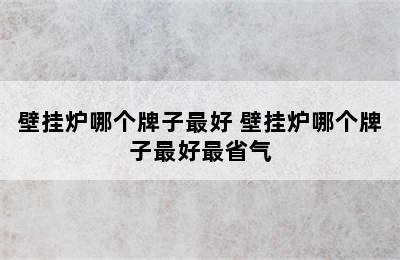 壁挂炉哪个牌子最好 壁挂炉哪个牌子最好最省气